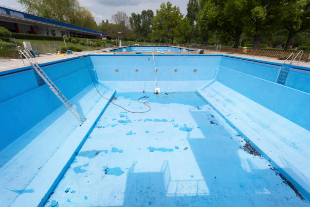 Best Mold removal after water damage  in Willis, TX