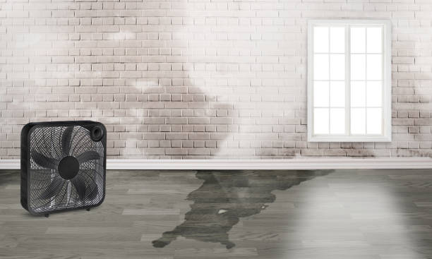 Willis, TX Water damage restoration Company