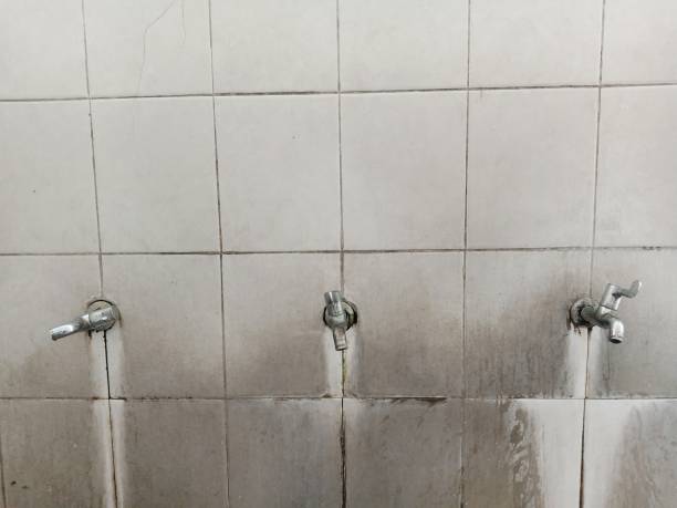 Best Carpet water damage restoration  in Willis, TX